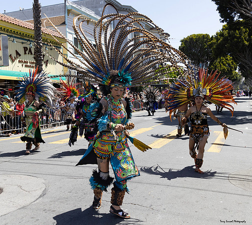 Parade 42 (Terry Scussel)