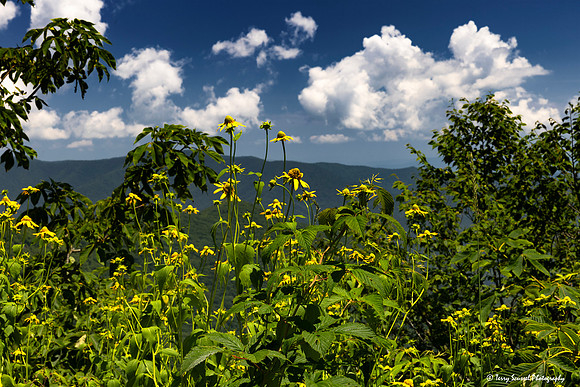 Blue Ridge Parkway 2 copy