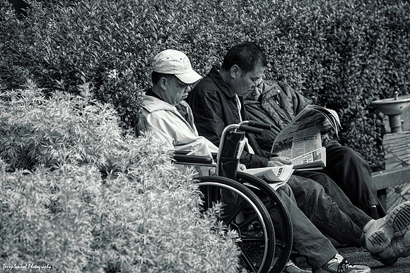 Readers - Washington Square, SF