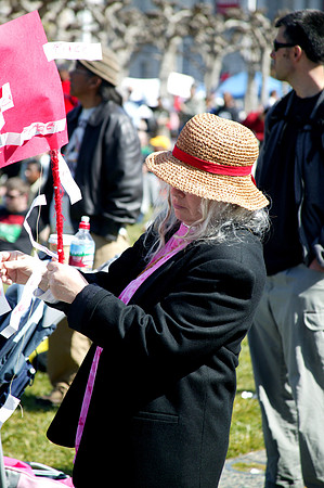 Demonstrator 3