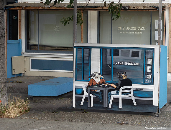 SF Carnaval Street 2 (Terry Scussel)
