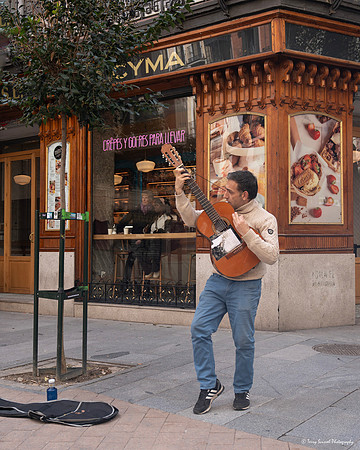 Flamingo Guitarist, Calle Mayor - Madrid copy