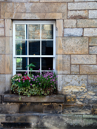 Window