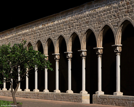 Pillars of Monastery of Pedralbes - Barcelona copy