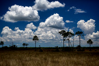 Big Cypress National Preserve 2
