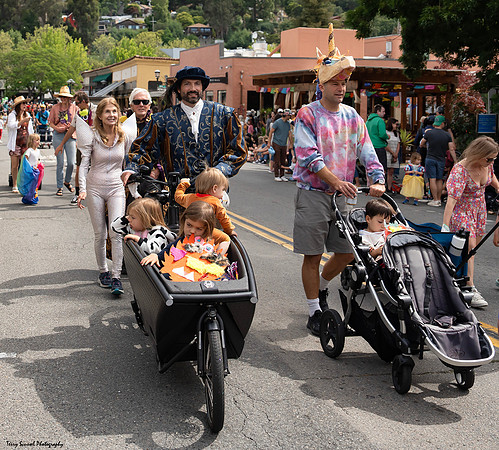 Fairfax Parade & Festival 2024 - 20 (Terry Scussel)