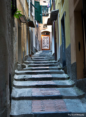 Vernazza Alley Way 2