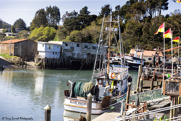 Blue Pacific, Noyo Harbor copy