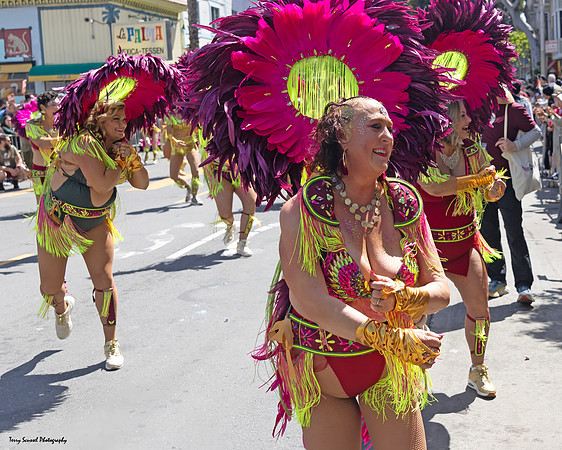 Parade 14 (Terry Scussel)