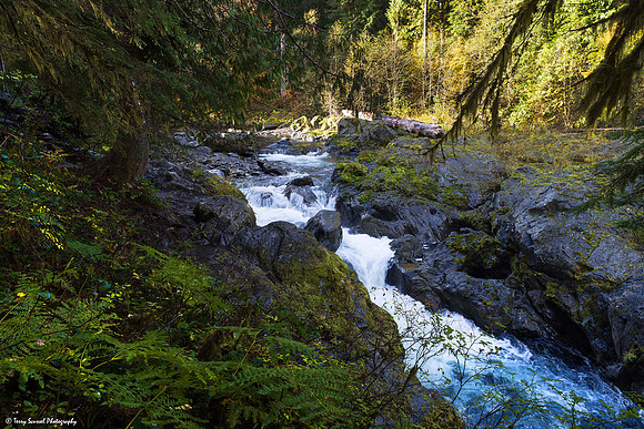 Sol Duc River, Olympic National Park copy