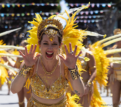 SF Carnaval Parade 91 (Terry Scussel)