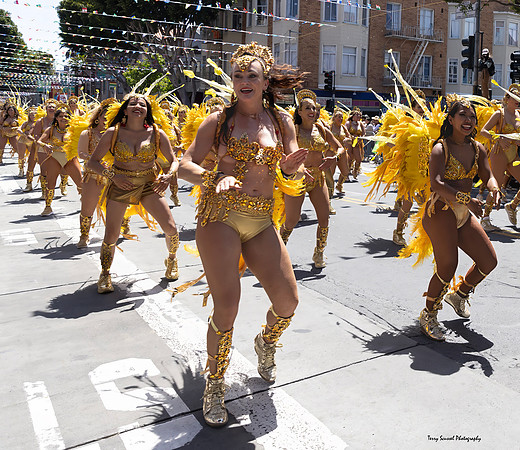SF Carnaval Parade 161 (Terry Scussel)