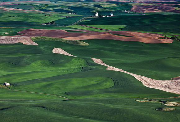 View from Steptoe Butte