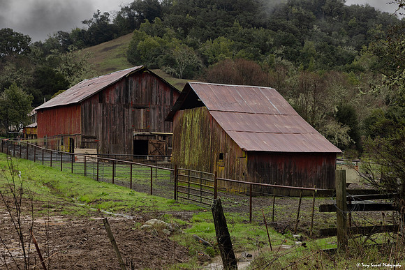 Barn 5 - Santa Rosa Creek Road, Templeton CA copy
