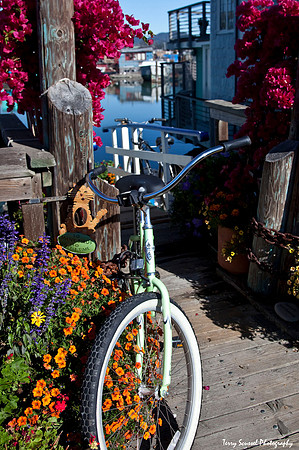 Bicycle2, Sausalito