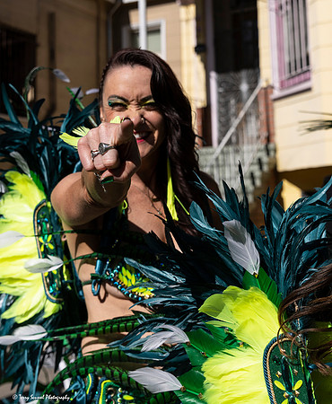 Carnaval 2022 8 (Terry Scussel)