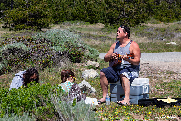 Point Lobos State Reserve Picnic Area