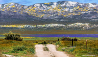 Carrizo 13 HiRes