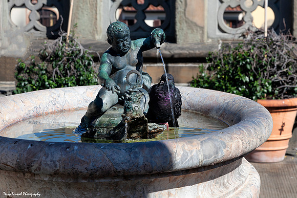 Fountain, Florence