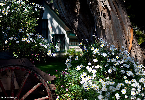 Mission Ranch Hotel 1