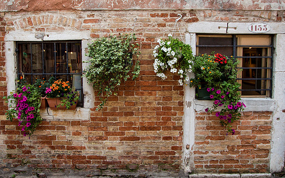 Wall of Flowers