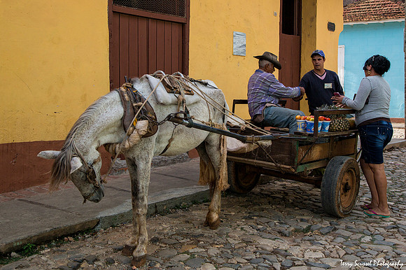 Fruit Cart Vendor, Trinidad