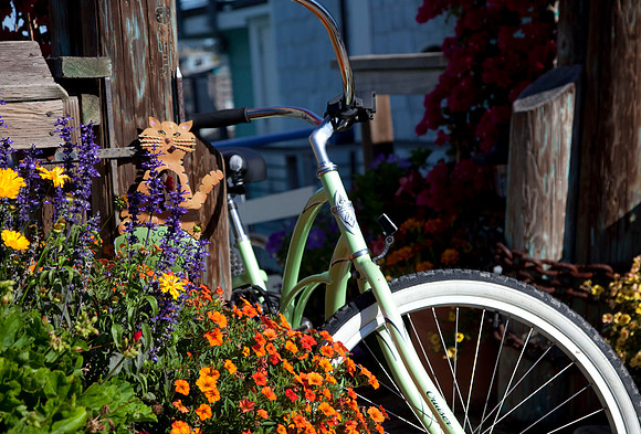 Bicycle, Sausalito
