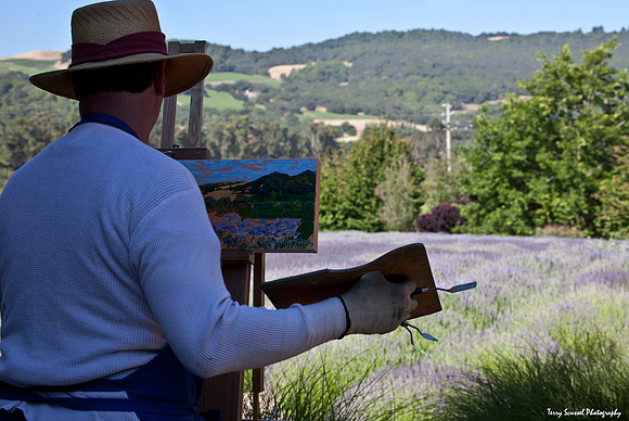 Painter 1