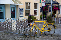 Pedal Flower