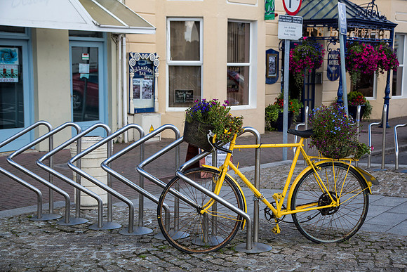 Pedal Flower