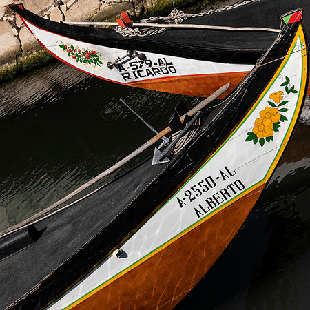 Aveiro Moliceiro Crossing