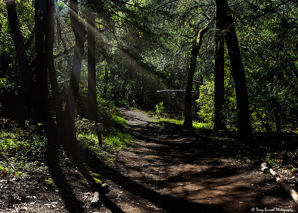 Jack London State Historic Park 1 copy