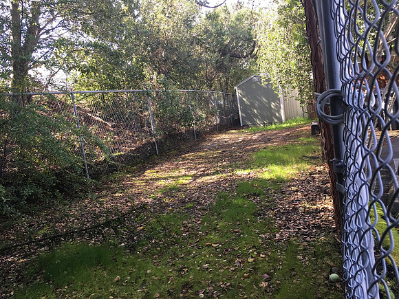 10 Joseph Court - Private Yard