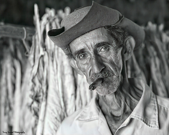 Tobacco Farmer 2 (B&W)