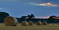 Hay Bales - Highlands