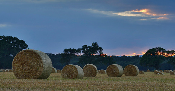 Hay Bales - Highlands
