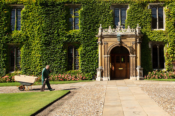 Manicuring Cambridge one leave at a time