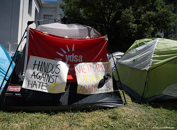 UC Berkeley - Camp Free Palestine 3 (Terry Scussel) copy