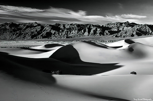 Softness of Mesquite Dunes-1
