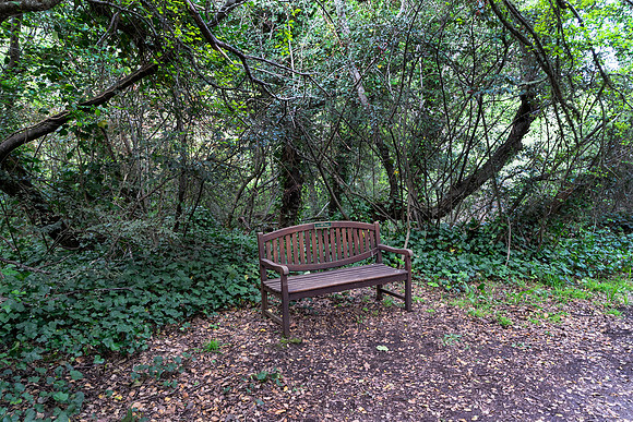 Tam Valley 2