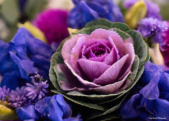 Purple Bouquet, Pike Place Market