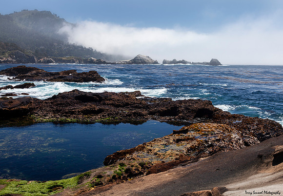 Lifting Fog at  Point Lobos State Reserve