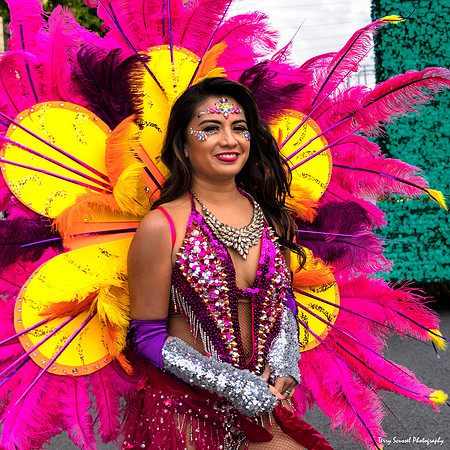 Carnaval SF 2019 53 (Terry Scussel)