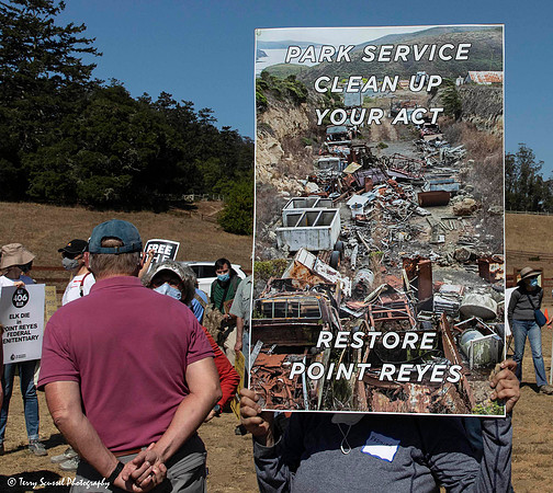 Save the Elk, Pt Reyes 5 (Terry Scussel)