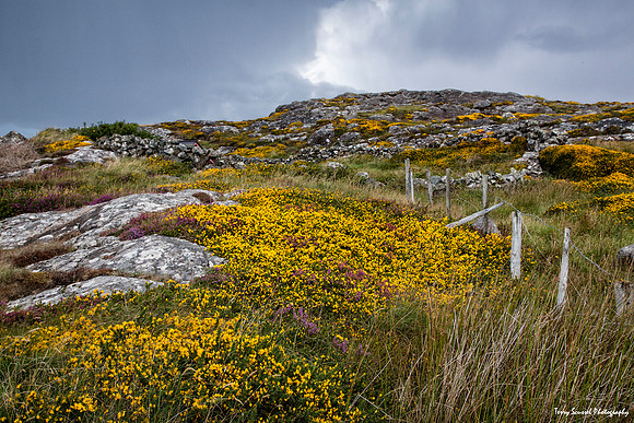 Connemara National Park 4, Ireland