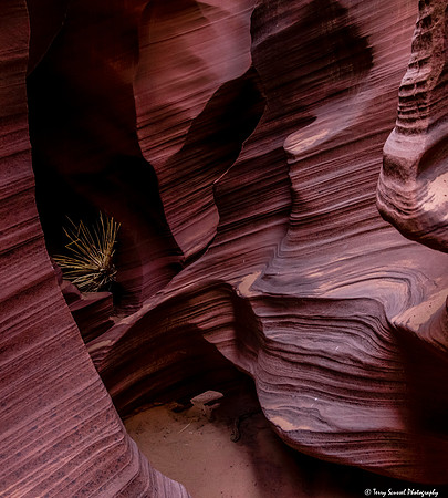 Upper Antelope 11 copy