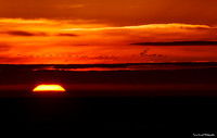 Colusa Sun Rise
