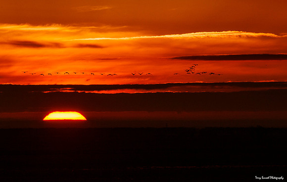 Colusa Sun Rise