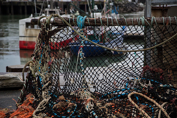 Saint Jean-de-Luz Fish Netting (web)