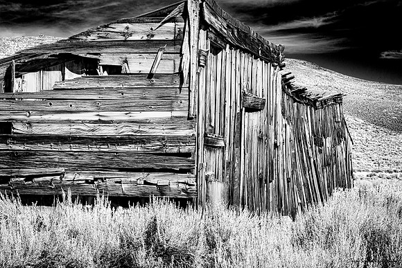 Bodie Forgotten B&W
